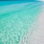 Top 10 Beaches With the Clearest Water in Florida